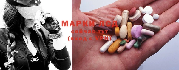 гидра Аркадак