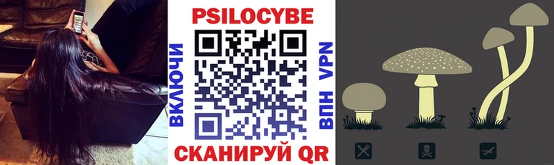 как найти закладки  omg   Псилоцибиновые грибы ЛСД  Семикаракорск 